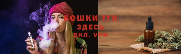 гидропоника Алзамай