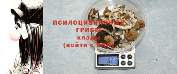 гидропоника Алзамай