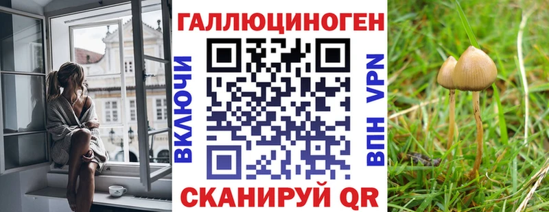 Галлюциногенные грибы Psilocybe как найти закладки Щёлкино